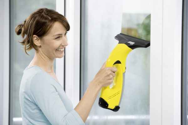 Window Cleaner WV 50 Plus