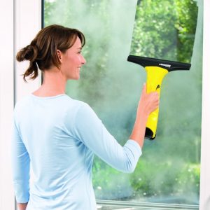 Window Cleaner WV 50 Plus